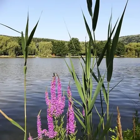 Kisto Panzio ベッド・アンド・ブレックファスト Orfű