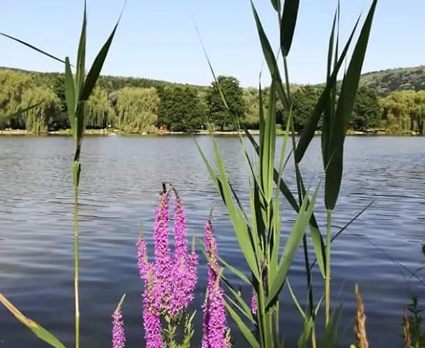 Kisto Panzio Bed & Breakfast Orfű